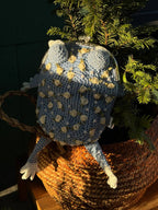 Rose Frog Bag