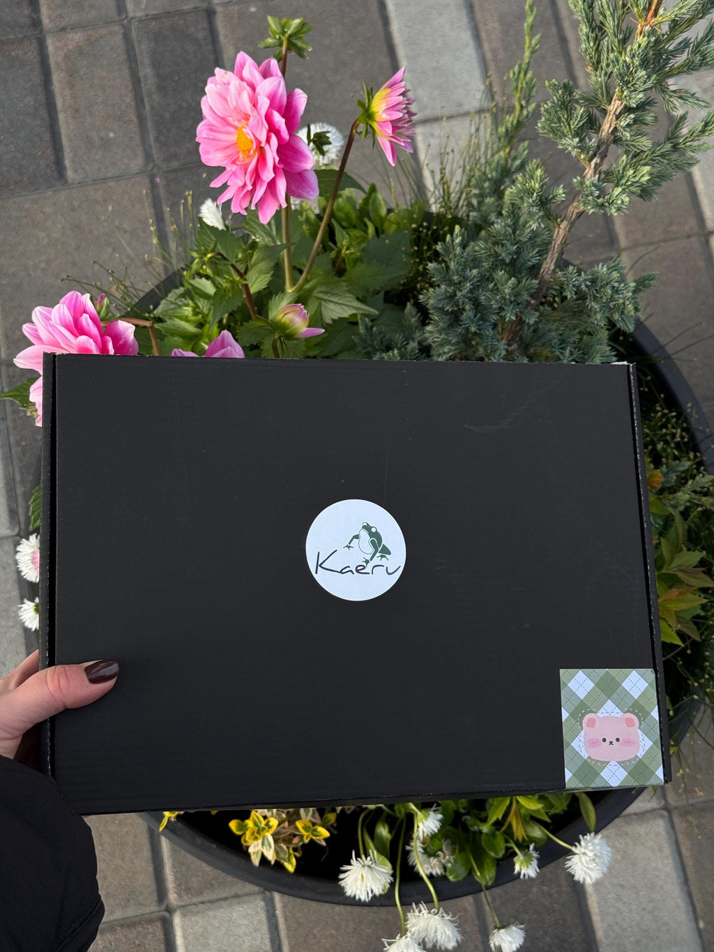 Black Kaeru Hoshi gift box with branded sticker, surrounded by blooming pink and white flowers