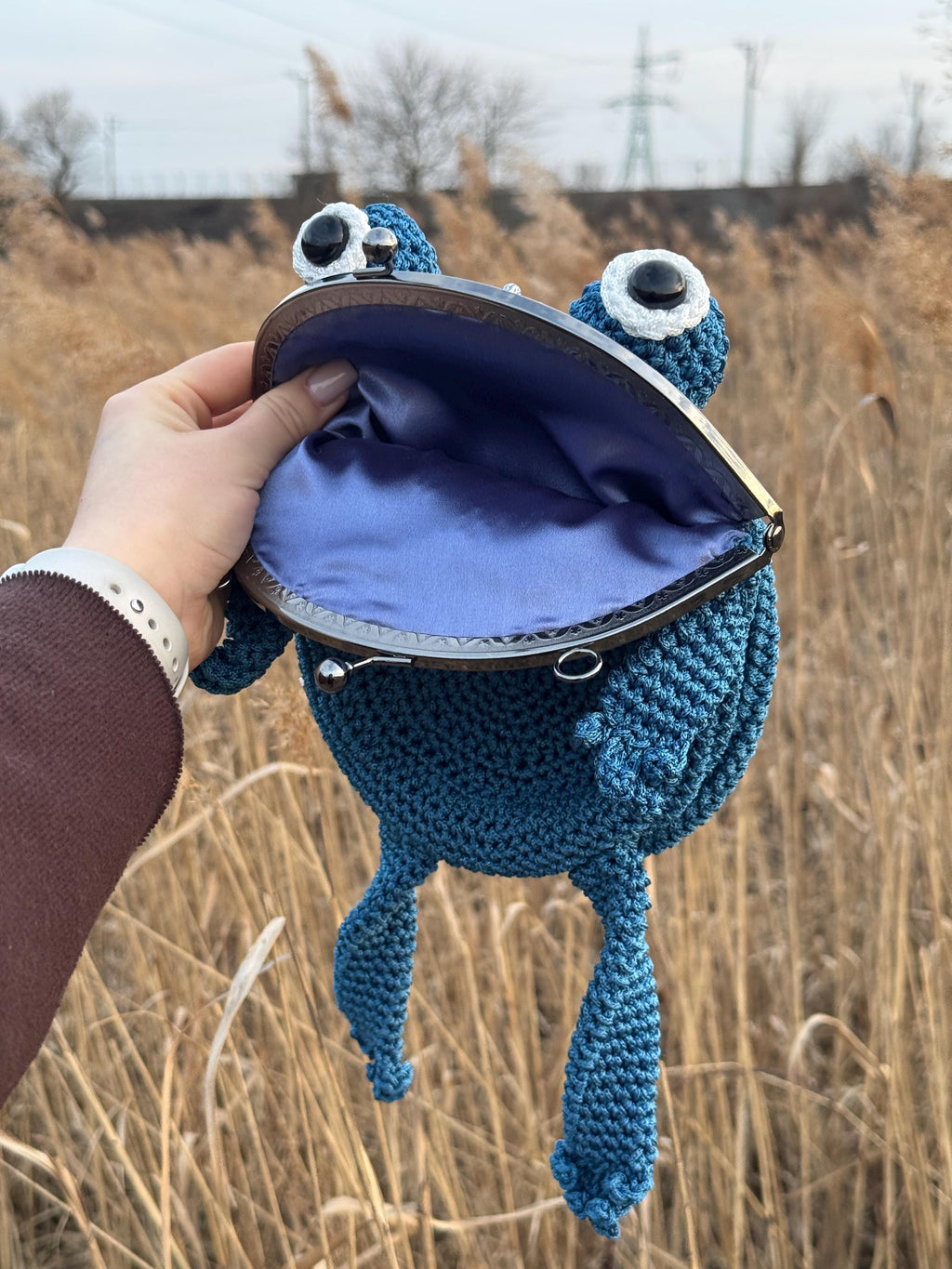 Crochet Frog Bag – Handmade Kawaii Frog Purse – Beaded Crossbody Bag – Czech Glass Beads