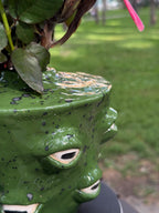 Ceramic Frog Vase – Handmade Frog Pottery, Fantasy Home Decor, Unique Frog Gift