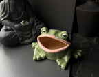 Ceramic Frog Sculpture Bowl, Frog Decor, Handmade Pottery Frog, Frog Lover Gift, Whimsical Home Decor