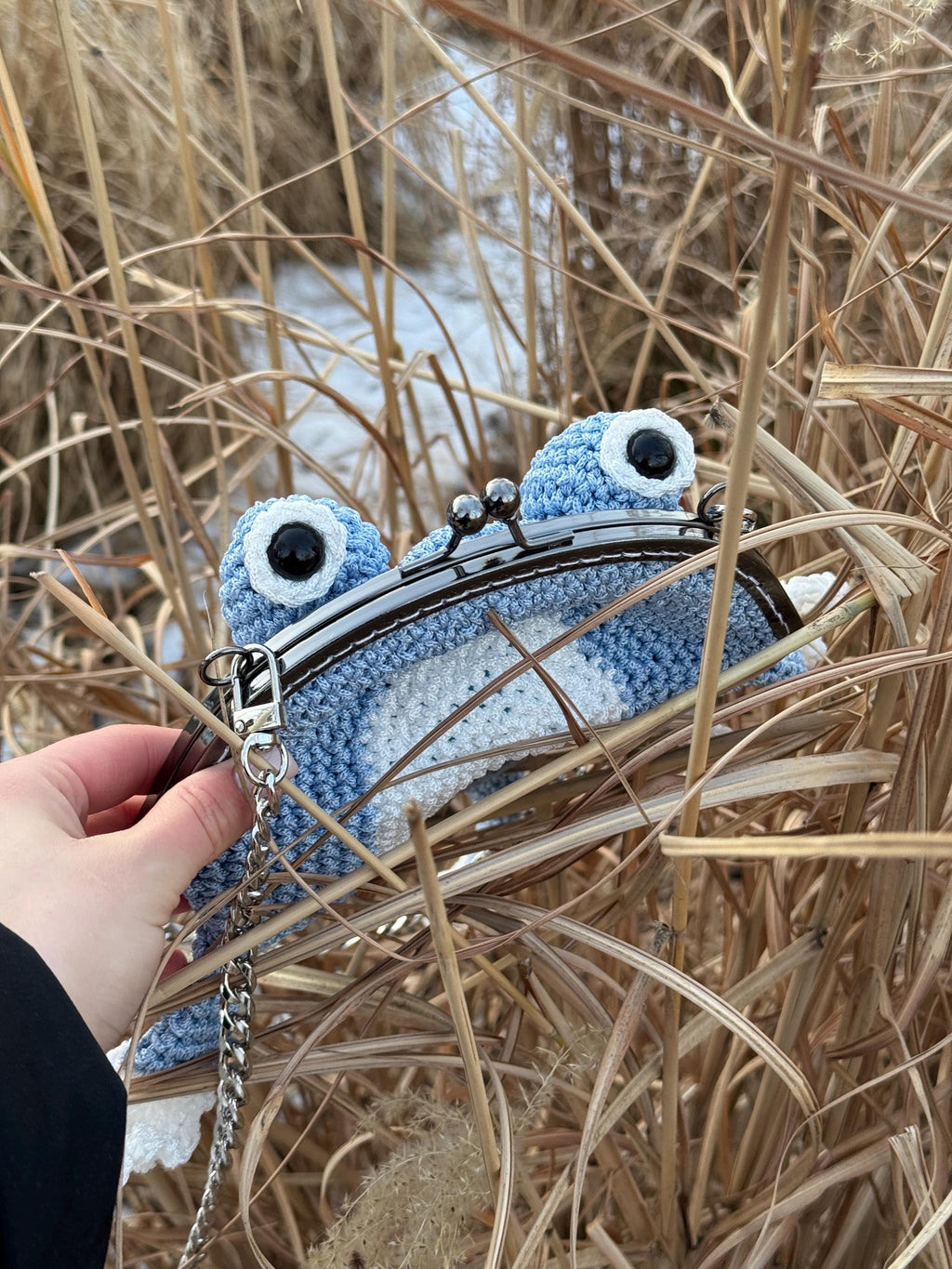 Frog Purse with Wings, Fairycore Frog Bag, Crochet Crossbody Purse, Kawaii Cottagecore Gift, Handmade Frog Bag