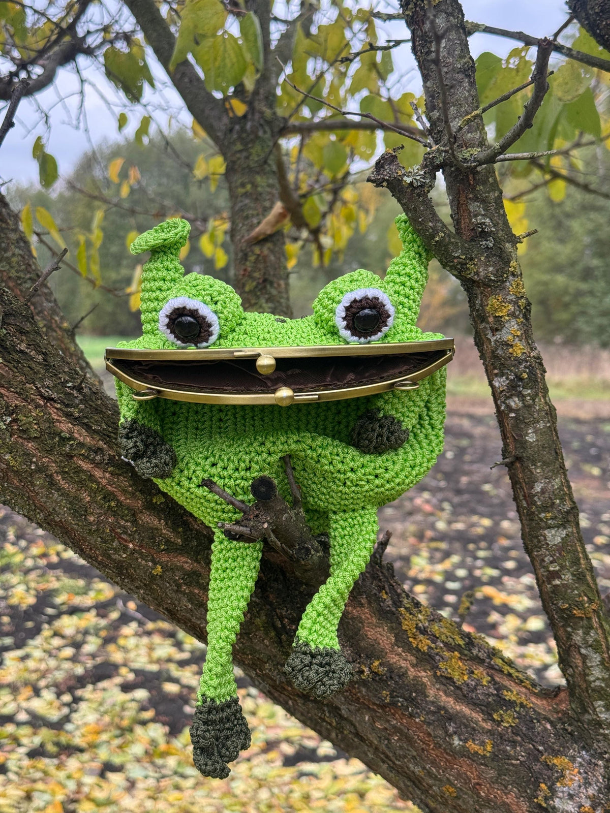 Crochet Frog Bag with Swamp Vibes – Handmade Frog Purse
