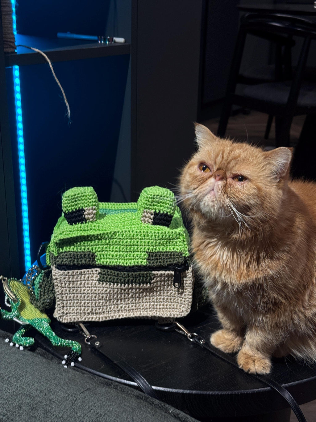 Square Crochet Frog Backpack – Handmade Frog Bag with Zipper & Satin Lining