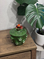 Ceramic Frog Vase – Handmade Frog Pottery, Fantasy Home Decor, Unique Frog Gift