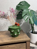 Ceramic Frog Vase – Handmade Frog Pottery, Fantasy Home Decor, Unique Frog Gift