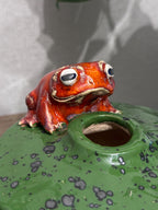 Ceramic Frog Vase – Handmade Frog Pottery, Fantasy Home Decor, Unique Frog Gift