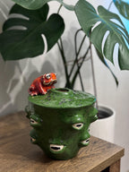 Ceramic Frog Vase – Handmade Frog Pottery, Fantasy Home Decor, Unique Frog Gift