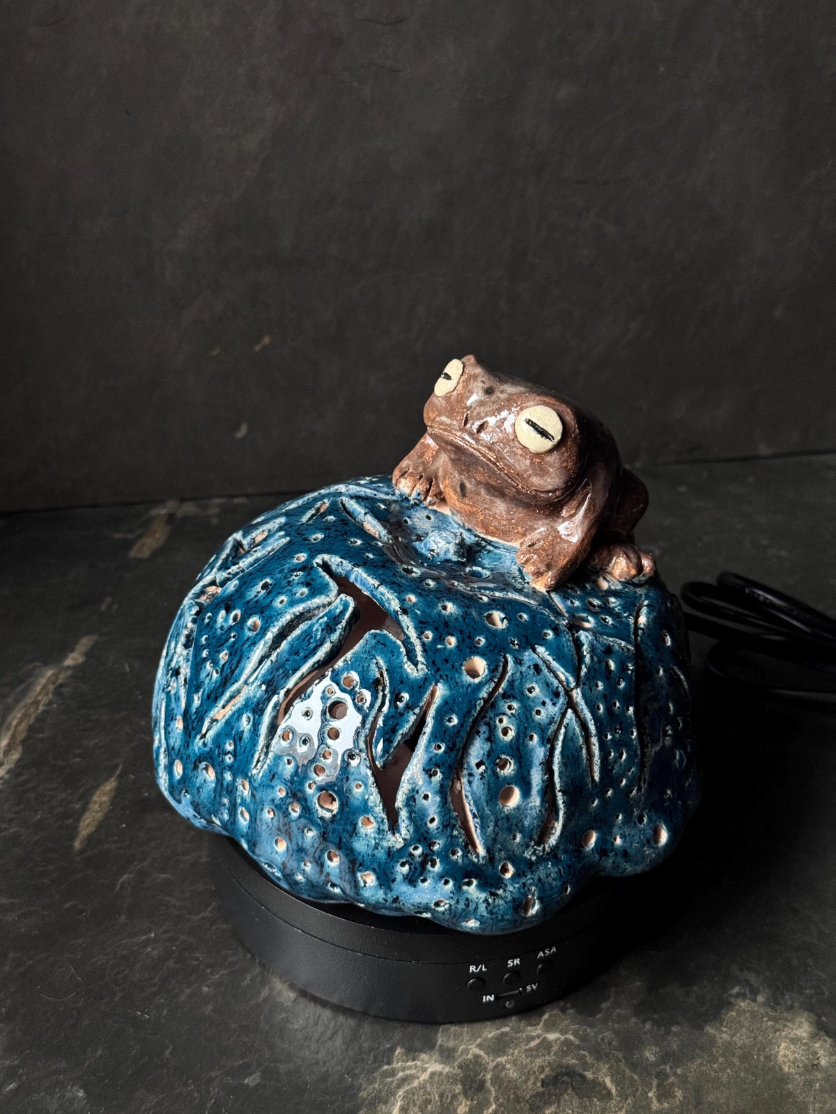 Ceramic Frog Lamp, Frog Night Light, Handmade Pottery Lamp, Cottage Decor, Frog Lover Gift