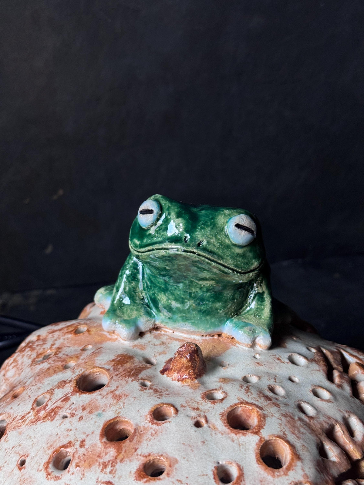 Ceramic Frog Lamp, Frog Night Light, Handmade Pottery Lamp, Cottage Decor, Frog Lover Gift