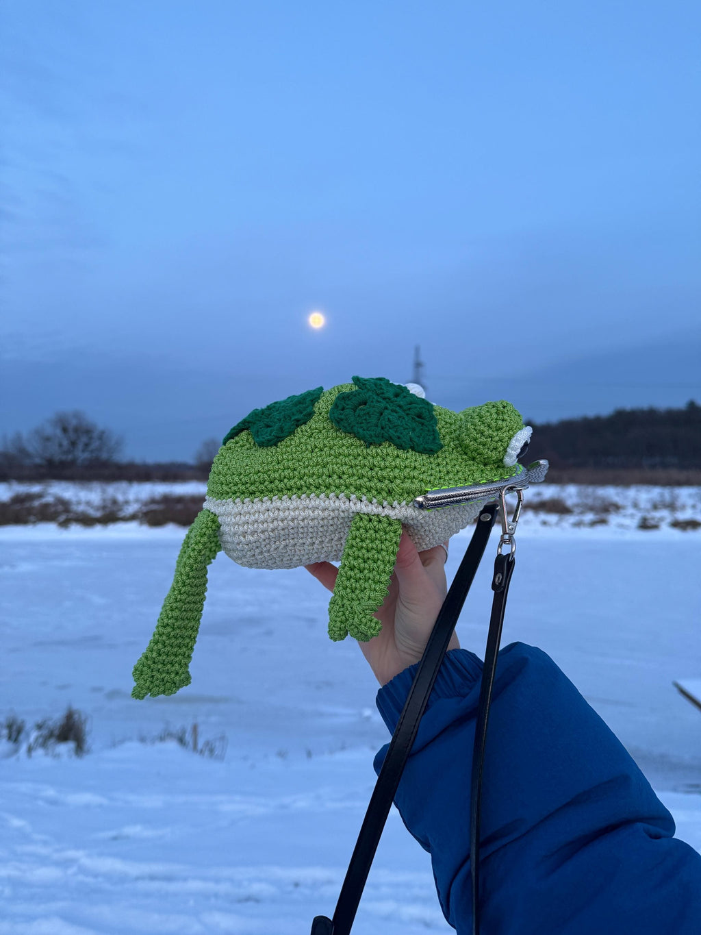 Green Frog Purse with Flowers and Leaves – Crochet Frog bag