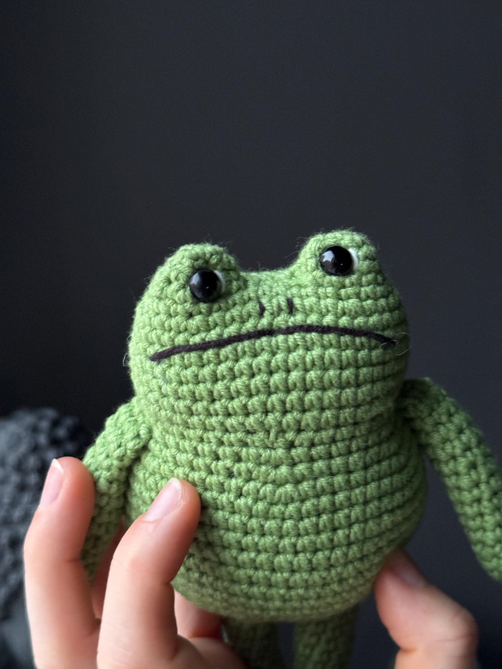 Crochet Frog Plush – Handmade Frog Toy, Soft Amigurumi Frog, Cute Frog Doll, Cozy Frog Decor