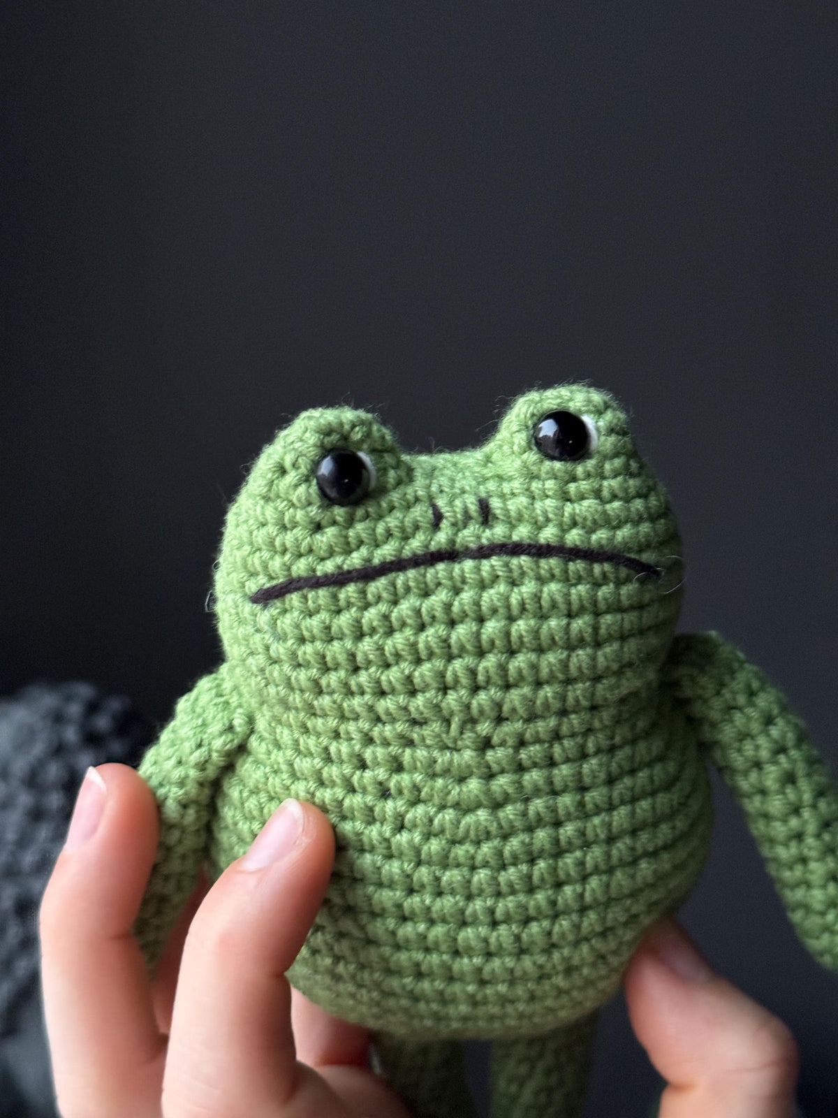 Crochet Frog Plush – Handmade Frog Toy, Soft Amigurumi Frog, Cute Frog Doll, Cozy Frog Decor