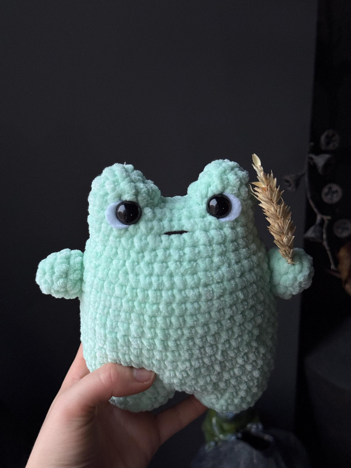 Crochet Frog Plush – Handmade Frog Toy, Soft Amigurumi Frog, Cute Frog Doll, Cozy Frog Decor