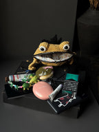 Crochet Frog Bag – Yellow Frog Purse with Black Crown – Kawaii Handmade Animal Bag – Frog Gift – Cute Coin Purse