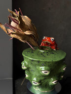 Ceramic Frog Vase – Handmade Frog Pottery, Fantasy Home Decor, Unique Frog Gift