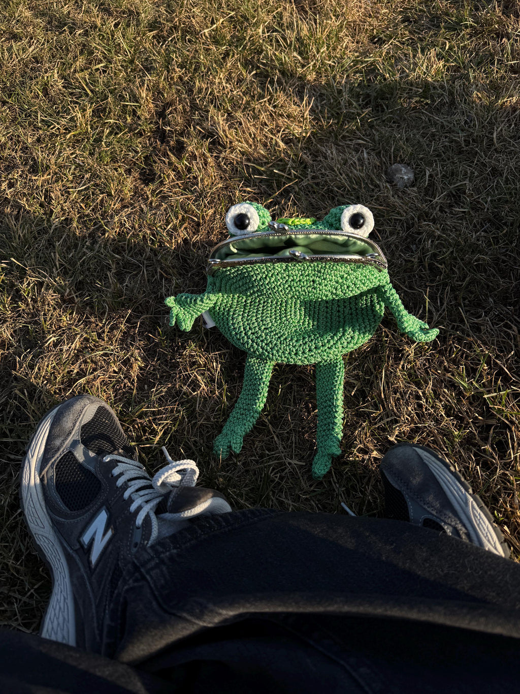 Poison Dart Frog Purse – Frogcore Bag | Handmade Gift