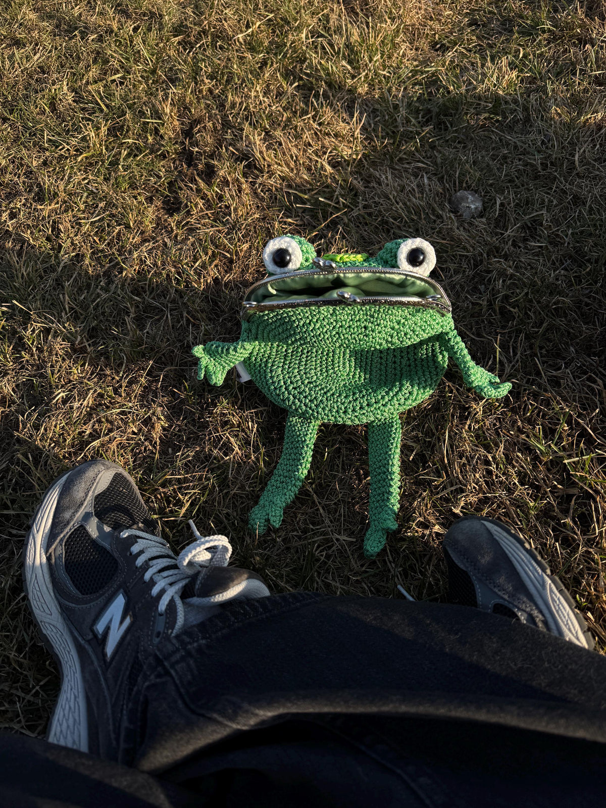 Poison Dart Frog Purse – Frogcore Bag | Handmade Gift