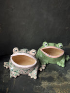 Ceramic Frog Sculpture Bowl, Frog Decor, Handmade Pottery Frog, Frog Lover Gift, Whimsical Home Decor