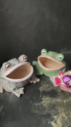 Ceramic Frog Sculpture Bowl, Frog Decor, Handmade Pottery Frog, Frog Lover Gift, Whimsical Home Decor